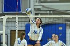 VB vs Plymouth St  Wheaton Women’s Volleyball vs Plymouth St. - Photo by Keith Nordstrom